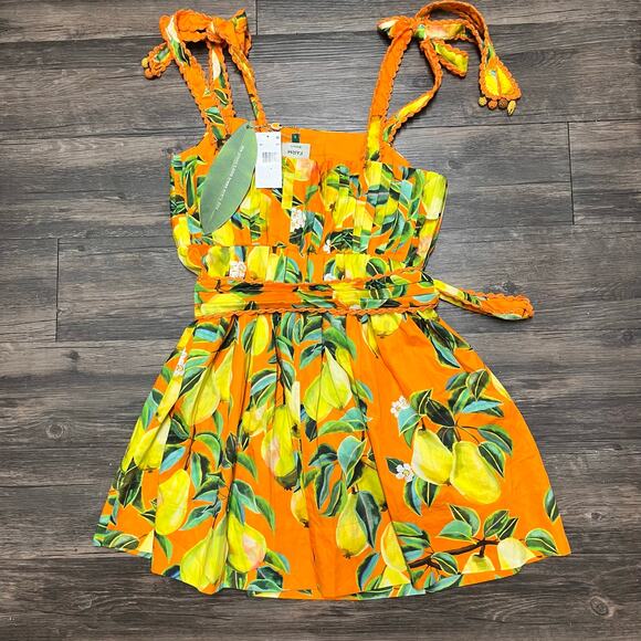 NWT Farm Rio Orange Chic Pears 100% Organic Cotton Mini Dress Belted S Retro - Picture 7 of 14